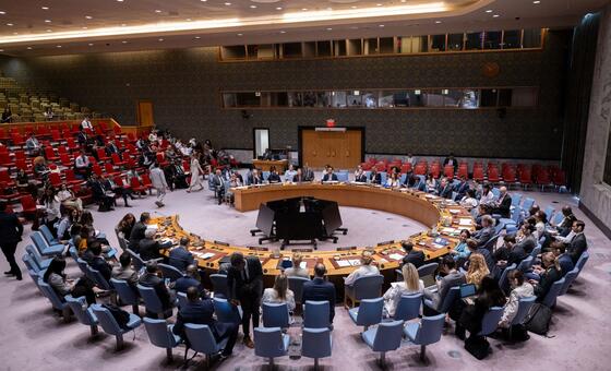 联合国安理会关于海地问题的会议全景。